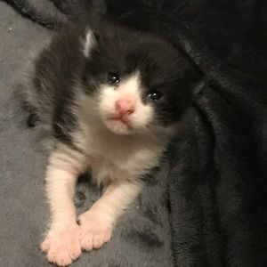 Meet your Posher, Heather